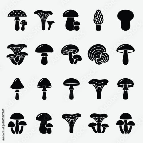 Obraz na płótnie Set of wild mushroom silhouettes for nature and culinary design with mushroom si