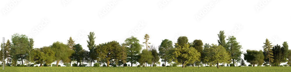 Obraz premium 3D rendering of a seamless summer treeline with a grassy meadow and green trees. Transparent PNG Background