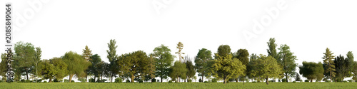 3D rendering of a seamless summer treeline with a grassy meadow and green trees. Transparent PNG Background