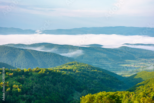 carpathian mountain landscape on a foggy morning. outdoor adventure with stunning view in morning light. mountainous countryside of ukraine in summer. rolling hills. scenic travel background