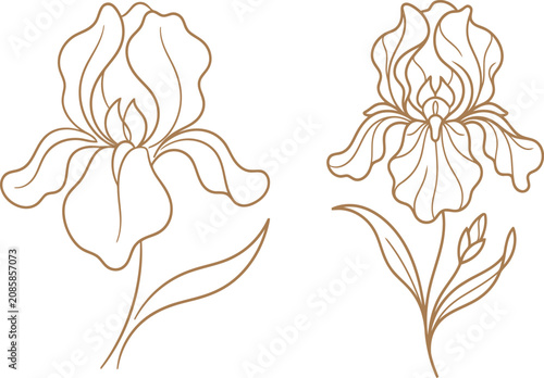 Black and white line art set of beautiful iris flowers for coloring