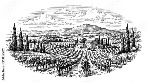 Vintage vineyard landscape engraving with tuscany hill valley grape