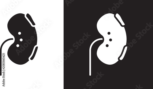 Konstfotografi Kidney disease icon