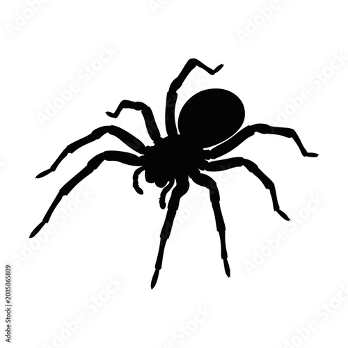 Schilderij op canvas Black spider silhouette, creepy crawly insect, dark arachnid icon, simple vector