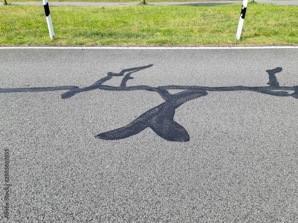 Obraz premium Road cracking repair with fresh asphalt sealant on pavement