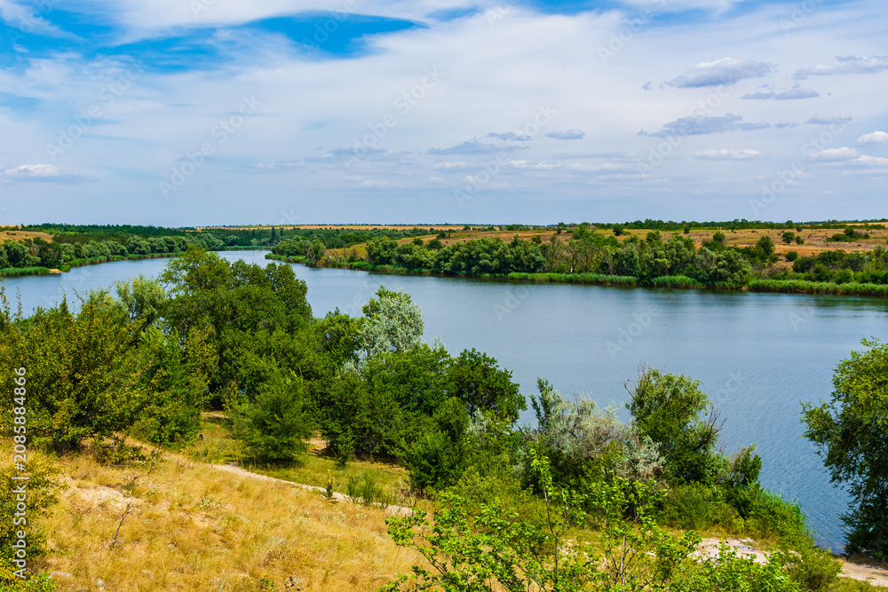 Fototapeta premium Summer landscape with the green trees and river