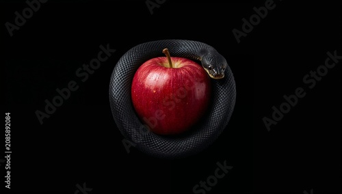 Snake Wrapped Around a Red Apple on a Black Background