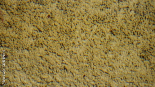 sandy bottom in lake water close up