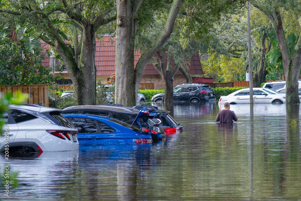 Фотография Florida after a hurricane