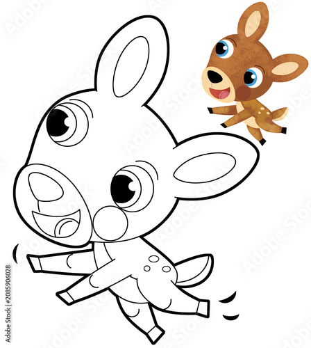 cartoon scene with farm animal deer roe forest animal isolated illustration for children