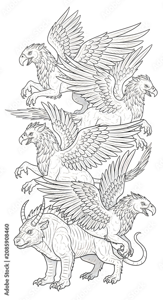 Fototapeta premium Mythical winged creatures, Griffin illustrations, Fantasy animal designs, Line art drawings