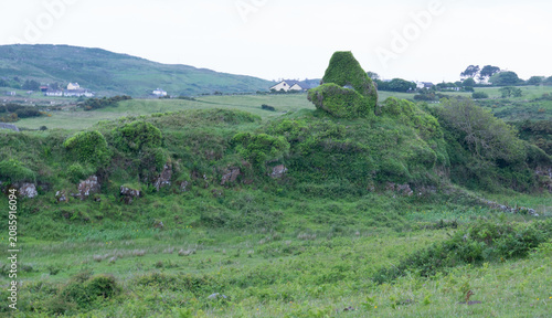 Quadro su tela Overgrown Stone Ruins Clifden Galway Ireland