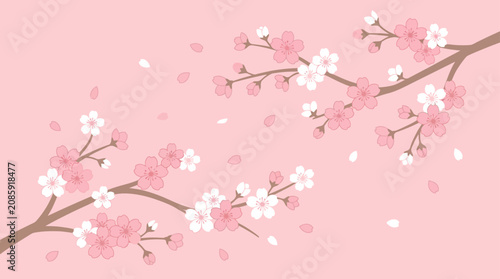 Pink Cherry Blossom Sakura Branch Illustration