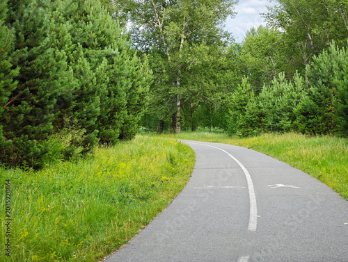 Well-trodden, tarmac-surfaced path intended for pedestrians or cyclists, running through a dense woodland park.