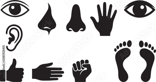 Tableau sur toile Set of black human body part icons, simple design isolated on transparent backgr