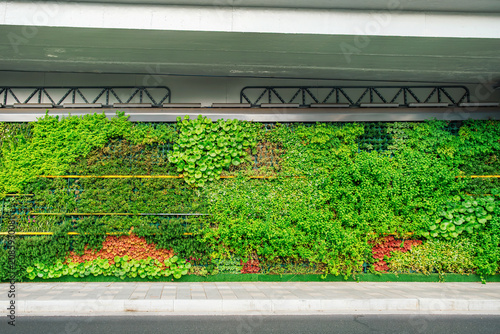 Green living wall installed beneath elevated road in modern city. Vertical garden integrated into transport infrastructure, sustainable urban planning, biophilic architecture