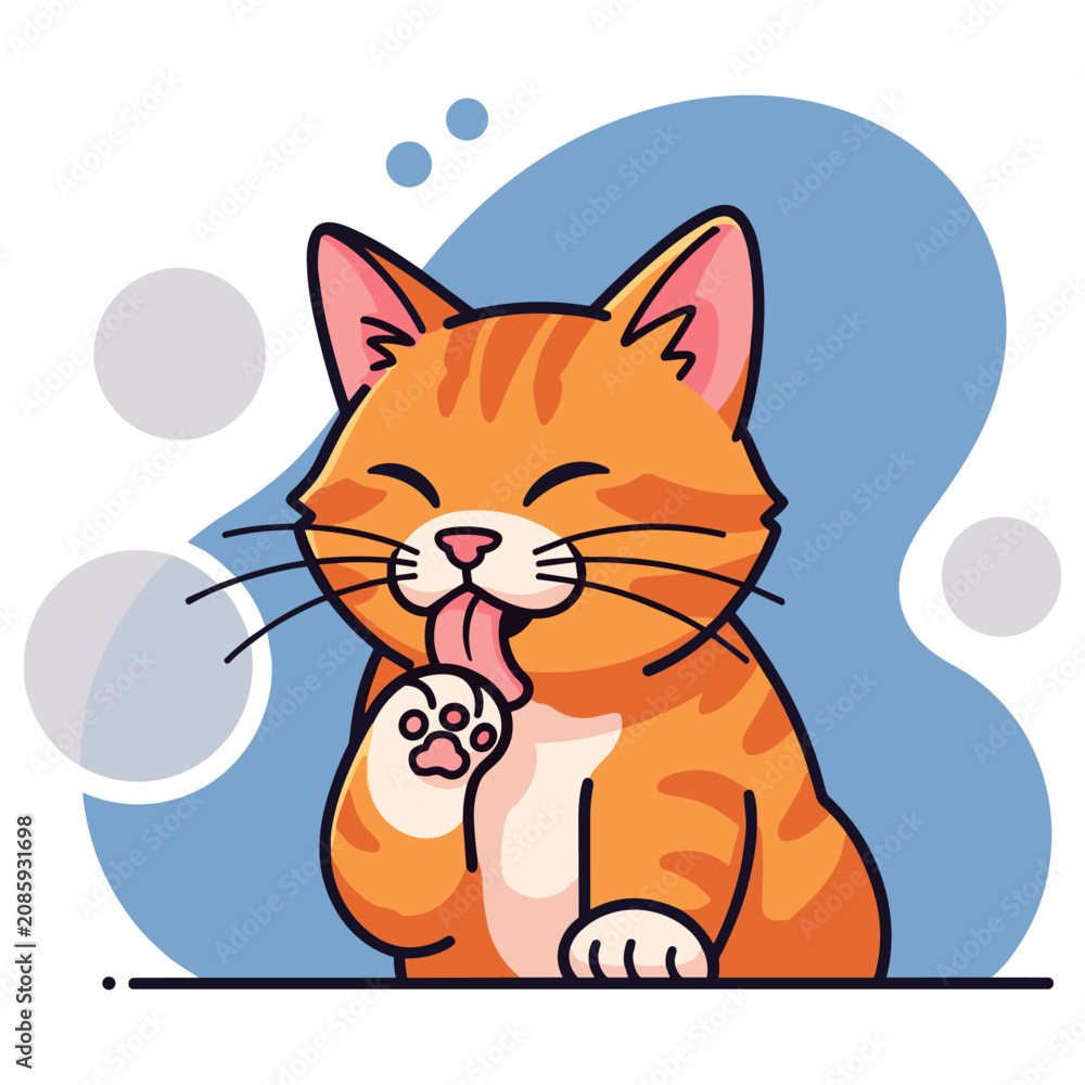 Fototapeta premium Orange tabby cat licking paw on abstract blue backdrop. non editable strokes