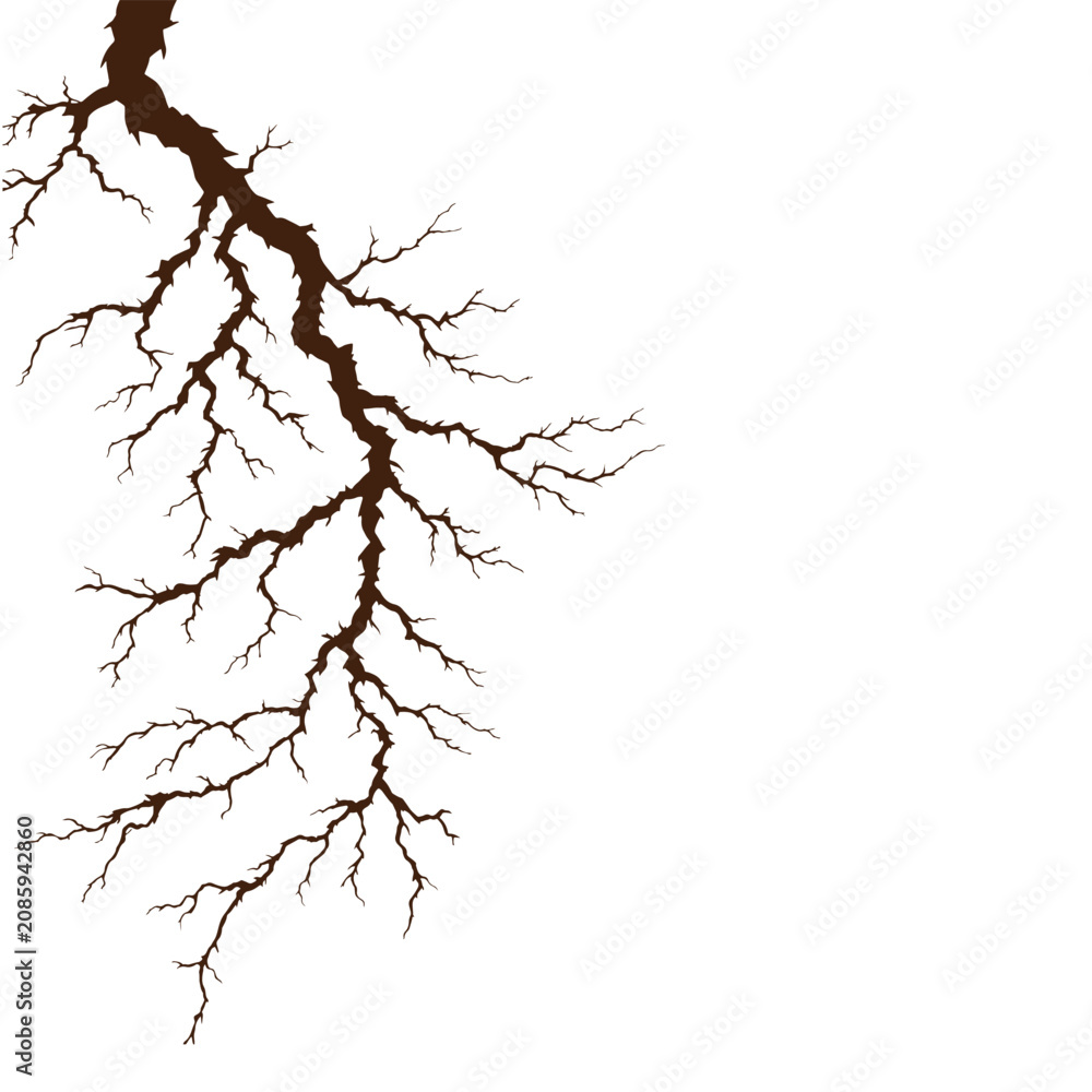 Fototapeta premium Dark Tree Branch Silhouette Against White Background.