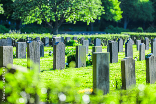 Photography Peaceful cemetery lawn with many upright stone headstones.