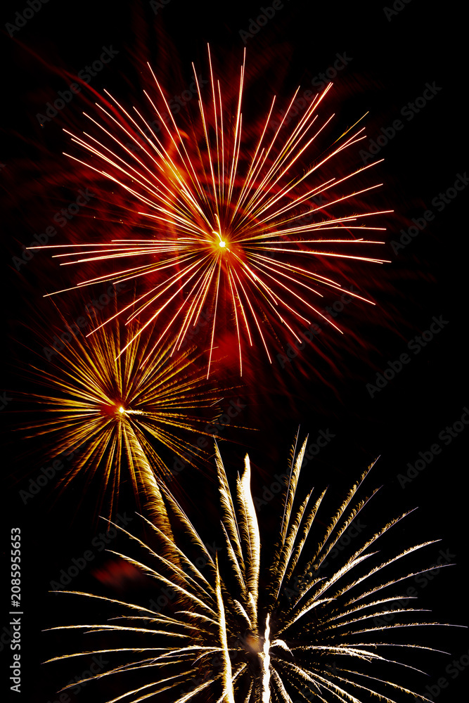 Fototapeta premium fireworks explode in the night sky