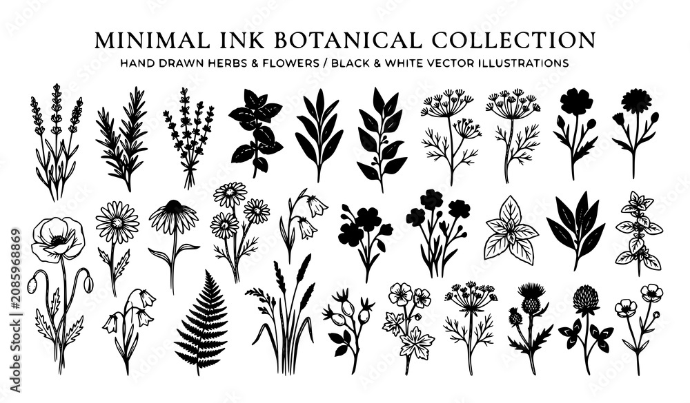 Obraz premium Minimal Ink Botanical Herb and Flower Vector Collection with Hand Drawn Floral Silhouettes for Packaging, Textile and Surface Pattern Design