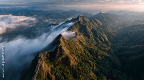 Dramatic mountain landscape with lush green forest and ocean view