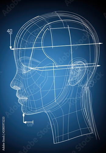 A detailed drawing of a human head with measurements and lines in a blue background. The subject has a smooth profile and subtle features