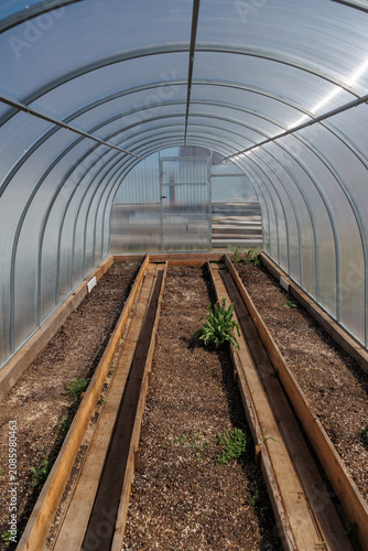 Empty arched greenhouse interior with translucent polycarbonate walls, wooden raised beds, soil, young seedlings, bright daylight, reflective surfaces, and tidy growing rows inside