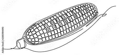 Photos Corn on the cob ear of maize with kernels in continuous line art style