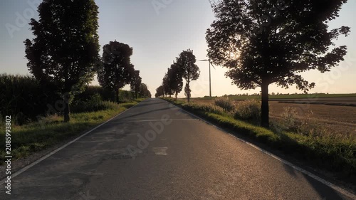 Cinematic Gimbal Panning Shot of Sun Flare Through Trees at Sunset