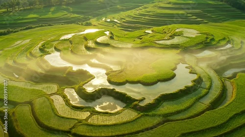 Lush green rice terraces shimmering with water under golden sunrise light