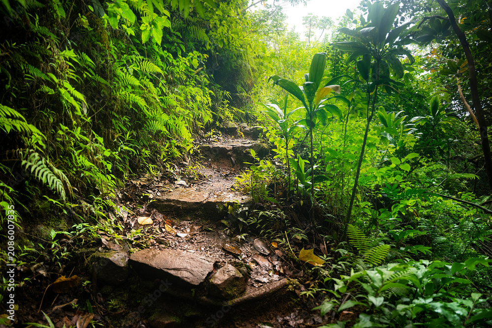 Obraz premium Rocky Stairs and Steamy Mist