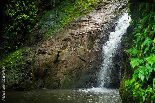 Принти на полотні Maunawili Falls