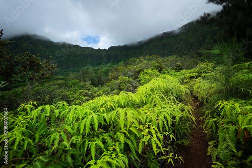 Foto The Trail and the Caldera