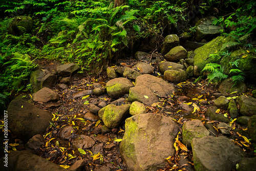 Varying Shades of Wet