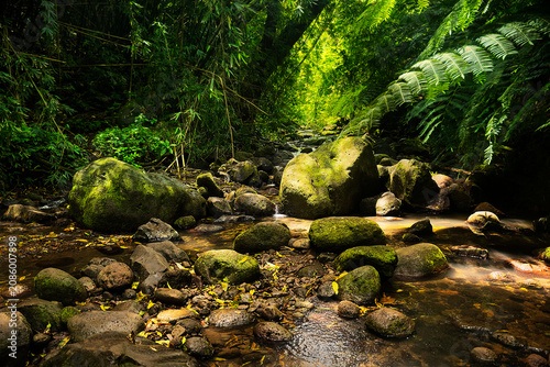 Εκτύπωση καμβά Wading Upstream