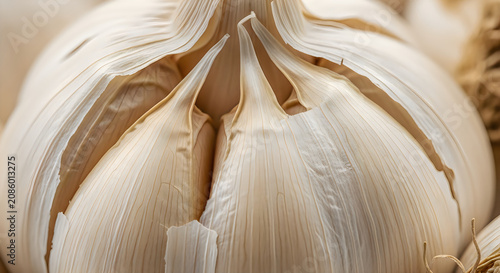 Close up of a whole garlic bulb with intact skin natural texture and light
