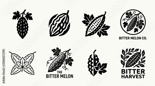 Bitter melon plant botanical illustration vector icon set.