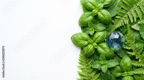 Glass globe resting on fresh green leaves with white copy space