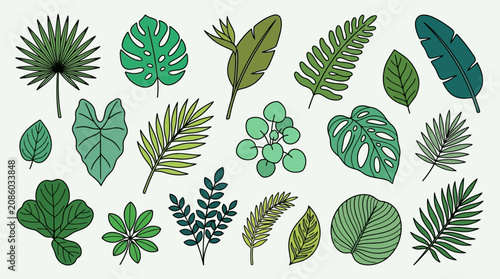 Conjunto de ilustrações vetoriais de folhas tropicais e plantas exóticas desenhadas à mão, apresentando uma variedade de folhagens verdes detalhadas isoladas em um fundo claro para design botânico.