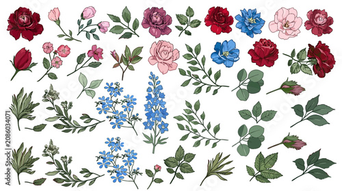 Conjunto de ilustraciones botánicas de flores y hojas dibujadas a mano con estilo acuarela sobre fondo blanco, incluyendo rosas rojas, rosas, azules y follaje verde detallado.