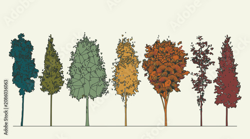 Eine Sammlung von sieben verschiedenen stilisierten Bäumen in einer Reihe, die unterschiedliche Formen und herbstliche Farbtöne in einem grafischen Design-Stil präsentieren.
