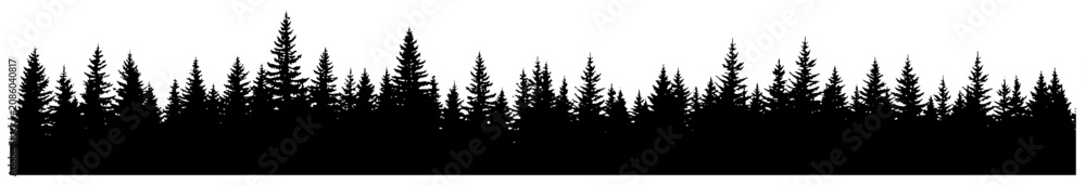 Fototapeta premium Dense pine forest conifer tree line silhouette in horizontal border design
