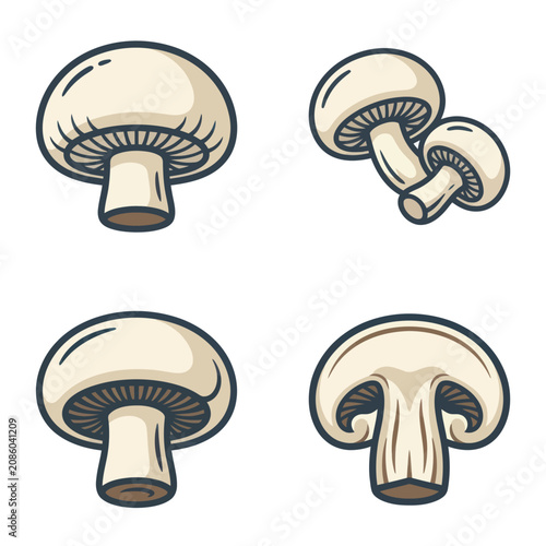 Fotografie Four white mushroom fungi illustrations.