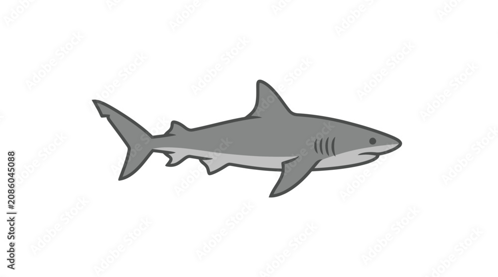Fototapeta premium Gray shark swimming in water column.
