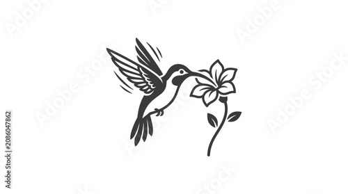 Obraz na płótnie Hummingbird feeding from a flower.