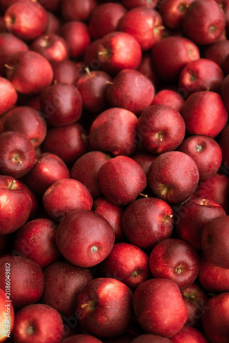 Close-up of ripe red apples stacked together during the autumn harvest. Fresh seasonal fruit, organic farming, healthy food and countryside agriculture concept.