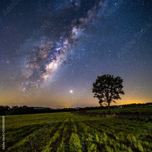 A lone tree stands silhouetted against the majestic sweep of the Milky Way galaxy over a rural landscape.