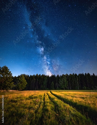 A vast field of tall grass with tire tracks leads to a dense forest under a brilliant, star-filled night sky with the Milky Way galaxy prominently visible.