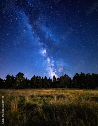 The Milky Way arches across a starry night sky over a grassy field bordered by a dark forest.